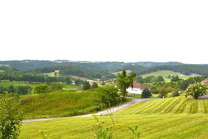 Lots & Land-Other in Peterstown