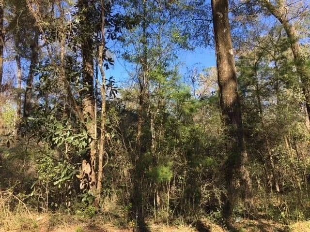 Lots & Land-Other in Crawfordville