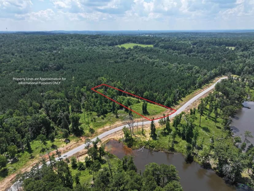 Lots & Land-Other in Hallsville