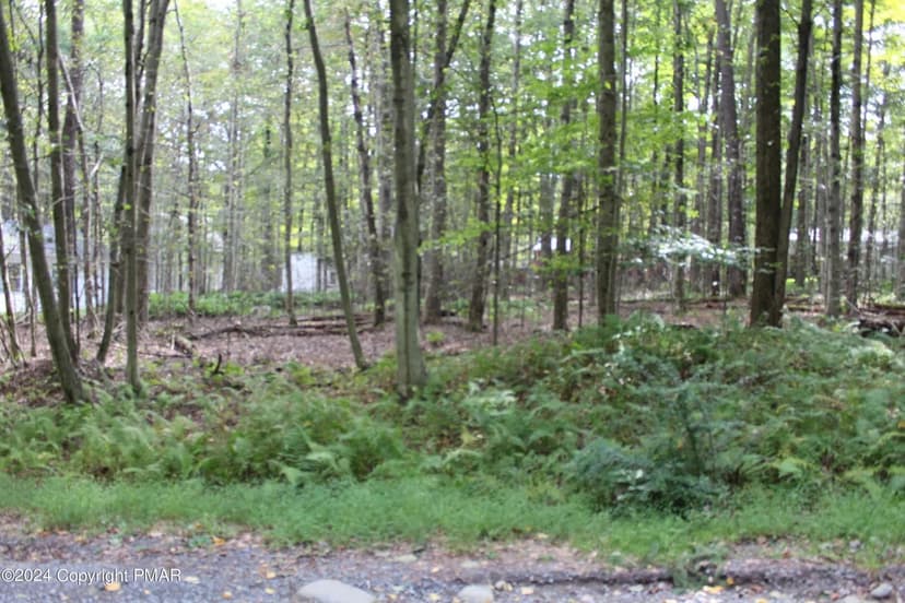 Lots & Land-Other in Pocono Lake