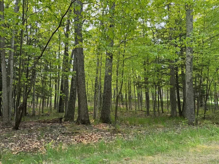Lots & Land-Other in Harbor Springs