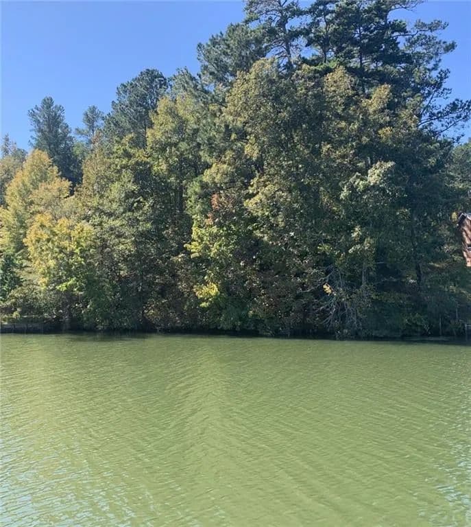 Vacant Land in Sparta