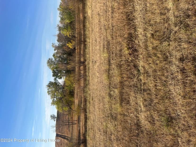 Vacant Land in Bowman