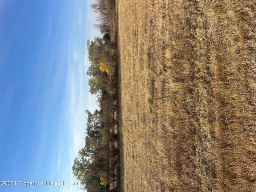 Vacant Land in Bowman
