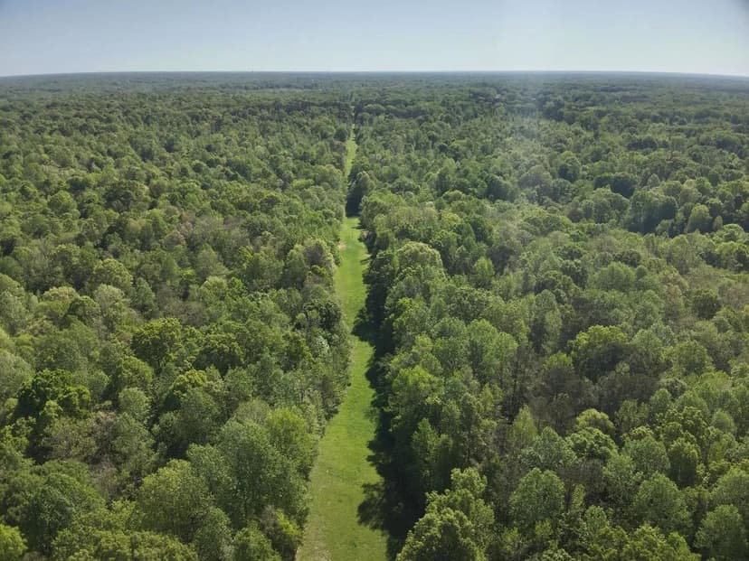 78 Acres in Yazoo County in Bentonia, MS