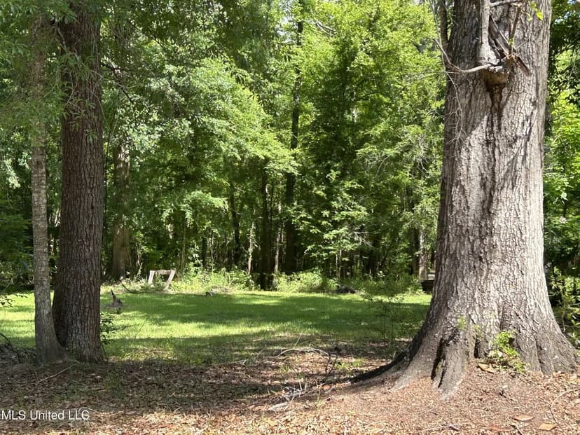 Lots & Land-Other in Lucedale