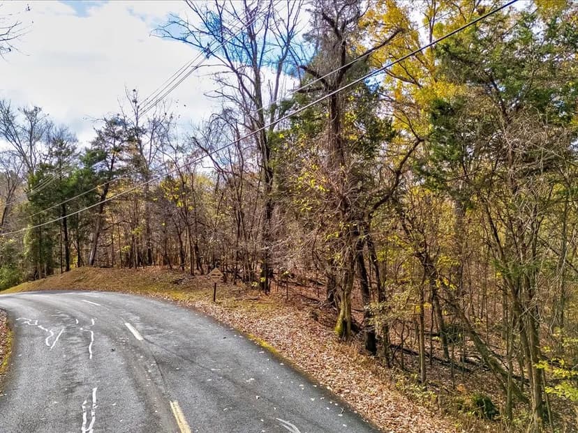 Escape to Your Cherokee Lake Retreat: Wooded Lot with Cove Access