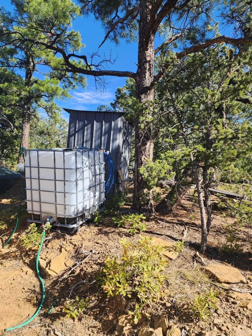 31420 Timber Canyon Rd. Trinidad, CO 81082