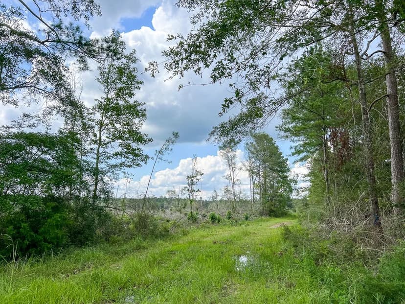 128 Acres | Old Honey Island Road