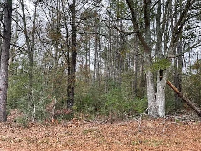 20 Acres on Campbell Rd | Jayess, MS