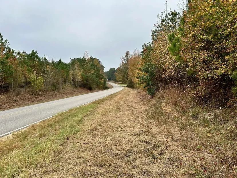 PRICE ADJUSTMENT! +/- 91 Acres Vernon Alabama