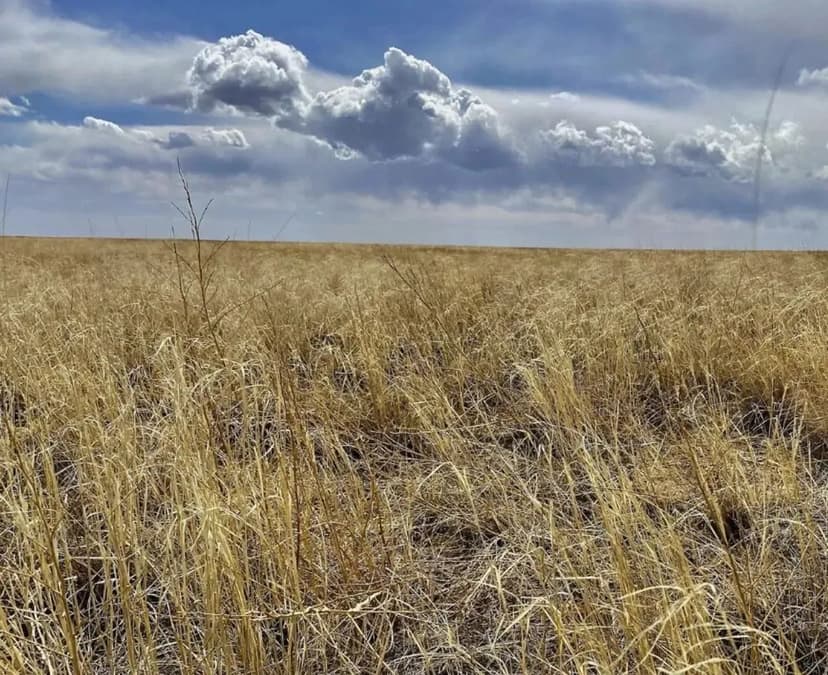 Large Parcel of Grassland CRP in Close Proximity to Blue Lake Reservoir