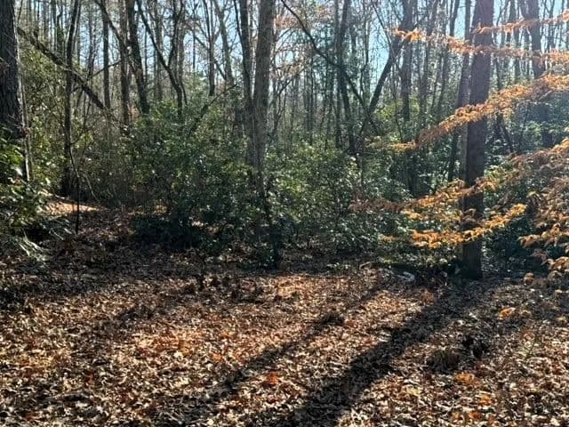 +/- 3.13 Acres on Mountain Mint Way in Salem, SC