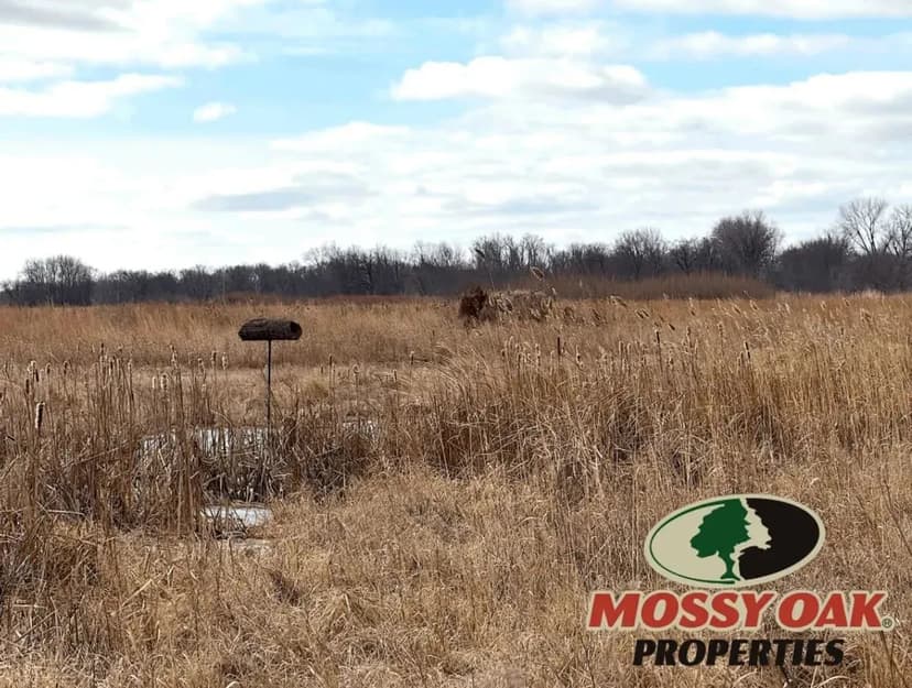 122 +/- Kankakee River Frontage / Starke County / Majority WRE Land / Land For Sale