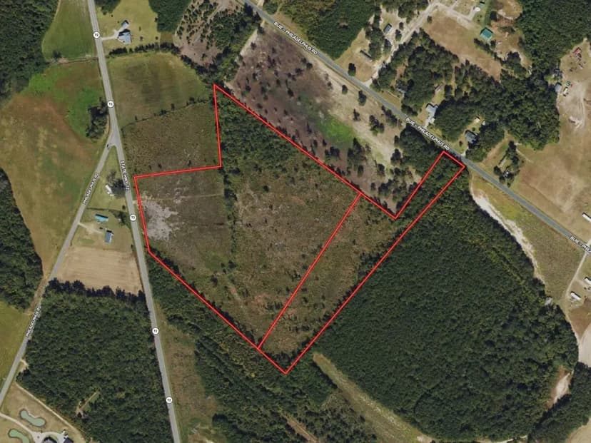 29.18 acres of Timberland For Sale in Robeson County NC!
