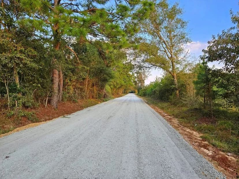102 +/- Ac Land for Sale Dodge County, GA
