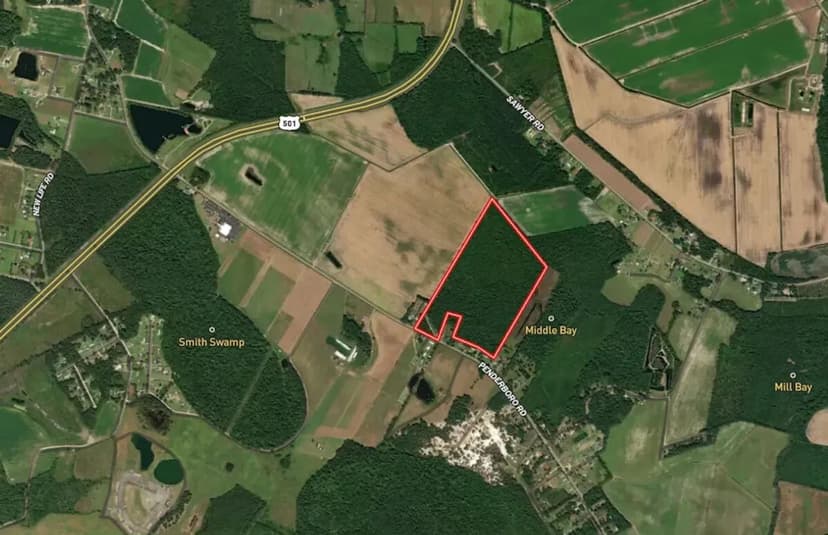 UNDER CONTRACT!! 54.91 acres of Recreational Timberland Land For Sale in Marion County SC!