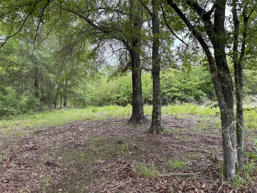 Property from LOT 25 Rains County Road 2610 - KW