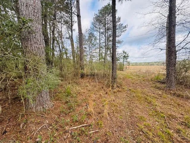 20 Acres on Mt. Carmel Church Rd | Columbia, MS