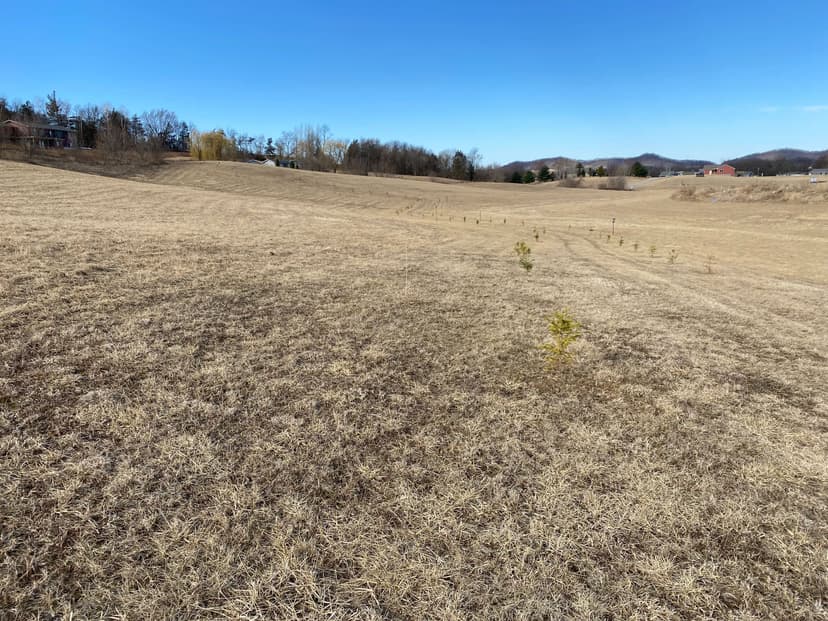 4 Adjacent Lots in Galesville WI
