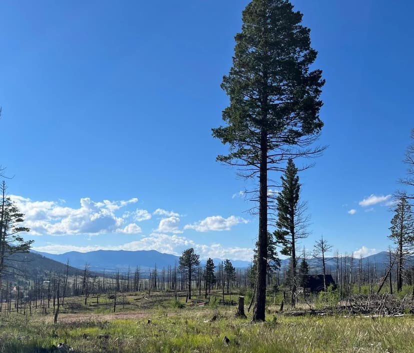 PRICE REDUCED - Double R Broiler Farm - Four House Farm - Cleburne Co., AL