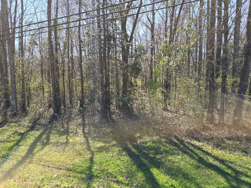 3.7+/- Acre Recreational / Commercial Opportunity in Mendenhall, MS