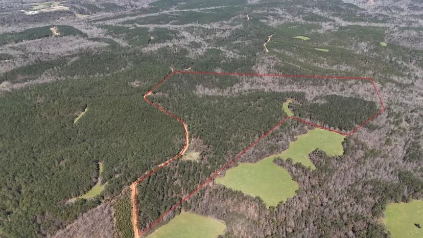 Tuscaloosa County 125 +/- Acres Recreational and Timber Tract