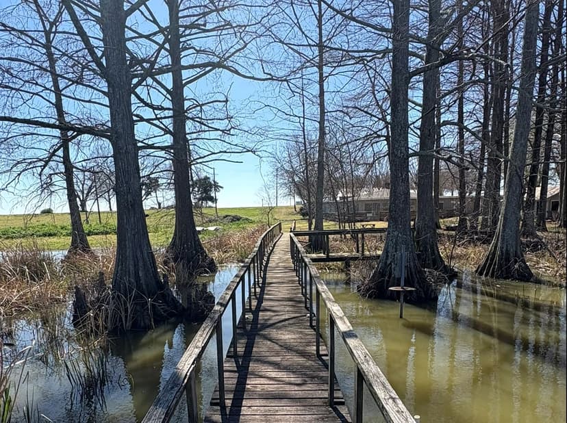 Lakefront Home in Washington County at 331 Lake Washington Road in Glen Allan, MS