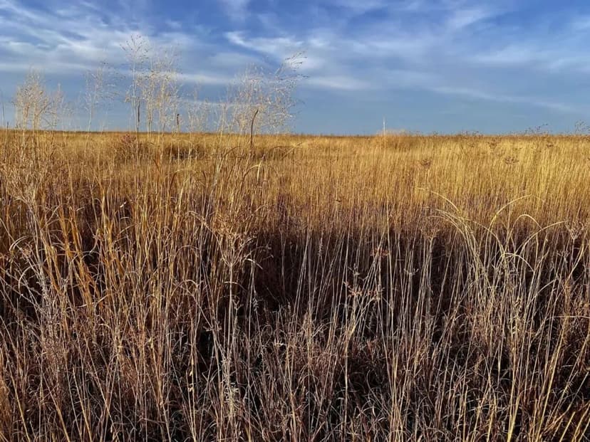 Large Parcel Of CRP With The Current Contract Expiring In 2027