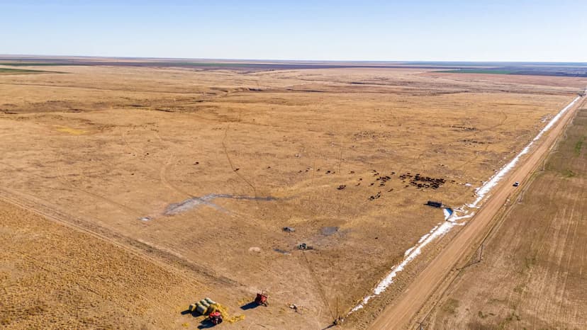 Hamilton County Grassland Quarter