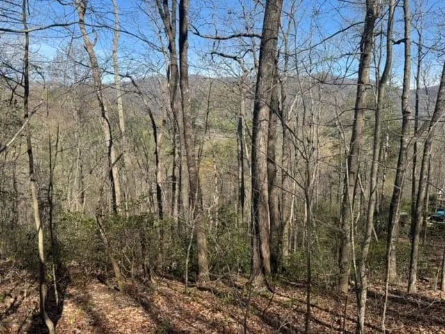 +/- 2.51 Acres on Ledge Road in Cleveland, SCy
