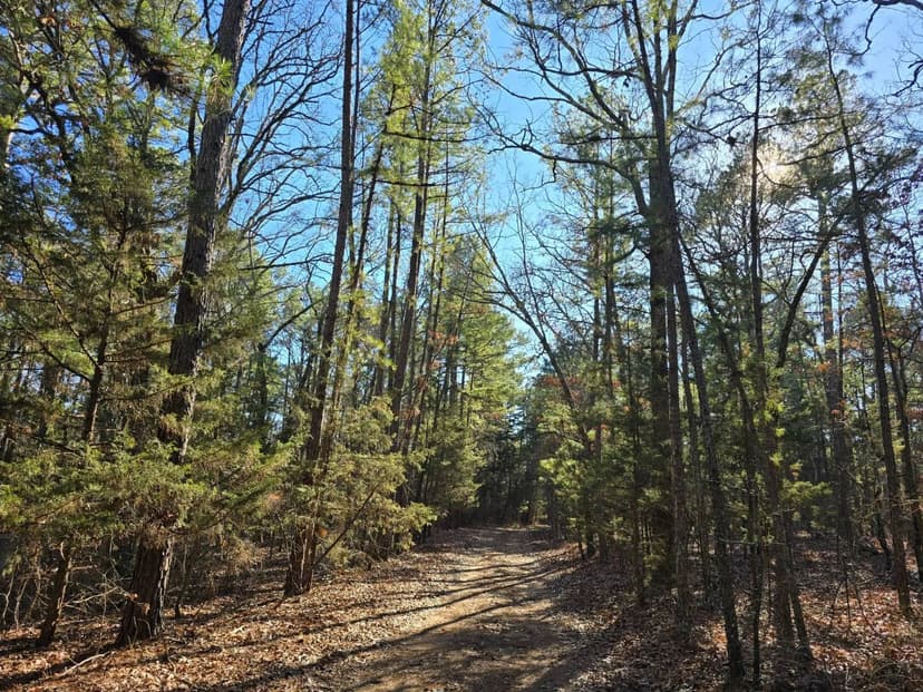 SHORTY CREEK 5 ACRES