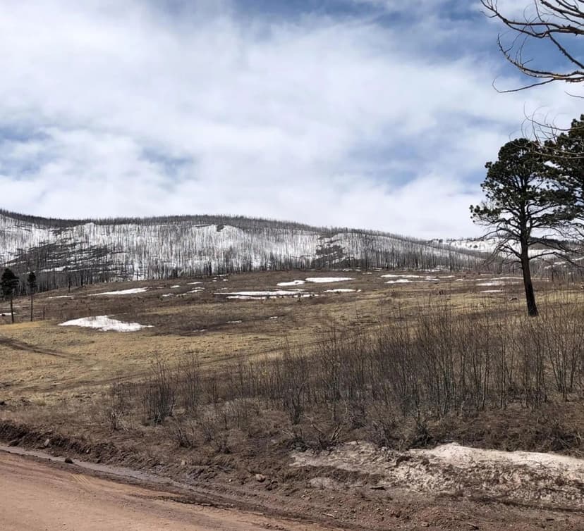 1812-15 Forbes Park Road, Ft. Garland, CO 81133