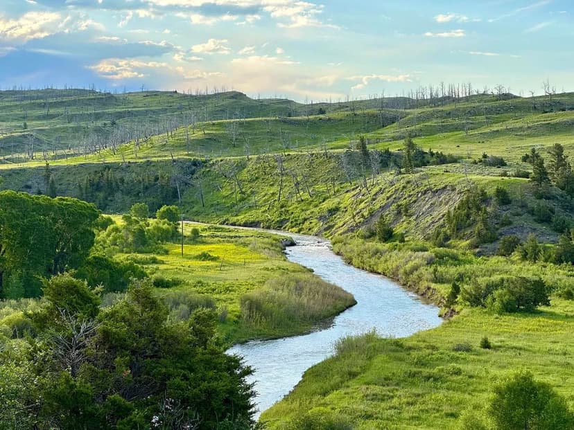 Sweet Grass Overlook