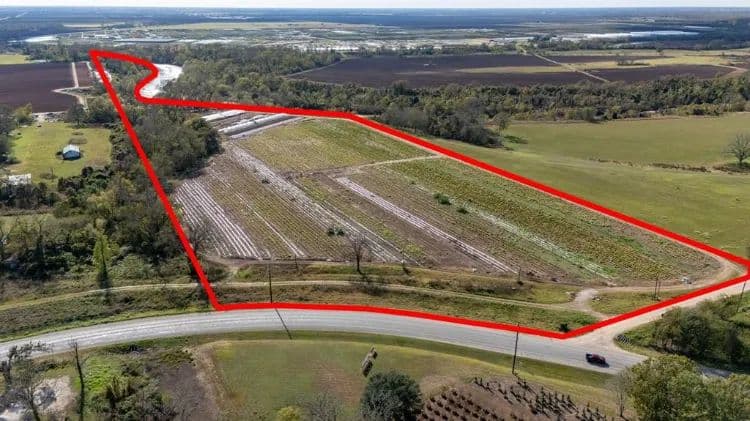 Habanero Pepper Farm