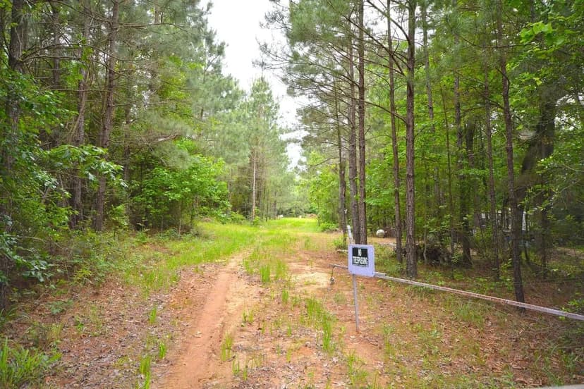 173 Acres of Prime Hunting Land – Etoile, Texas | Nacogdoches County