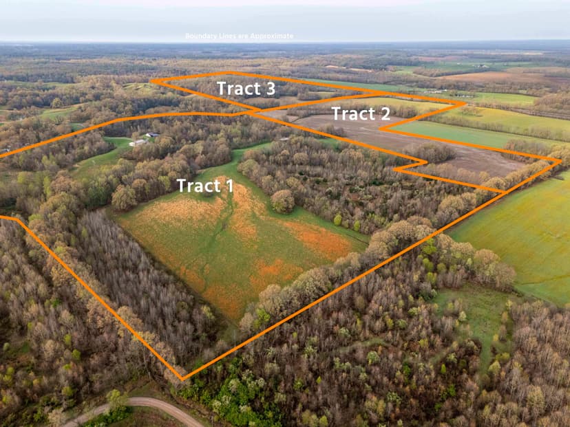 Pulaski County Illinois Land for Sale at Auction – Williamson Farm