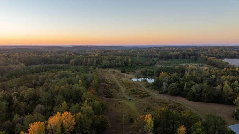 220 Acre Hunting Property and Homestead in Autauga County