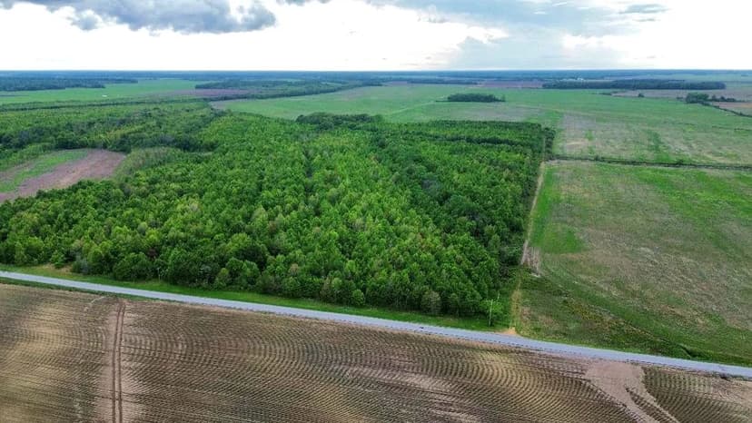 78 Acres in Coahoma County in Clarksdale, MS