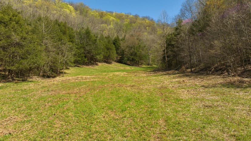 Farmhouse, Fields, and Freedom – Own It All at Auction East Tennessee