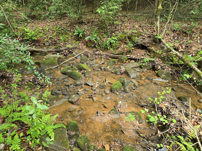 Residential Development Tract