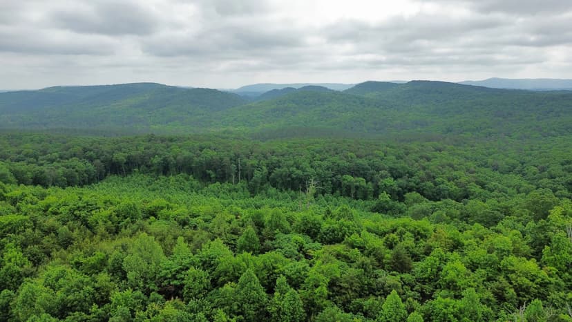 29 Acres in Catoosa County, GA