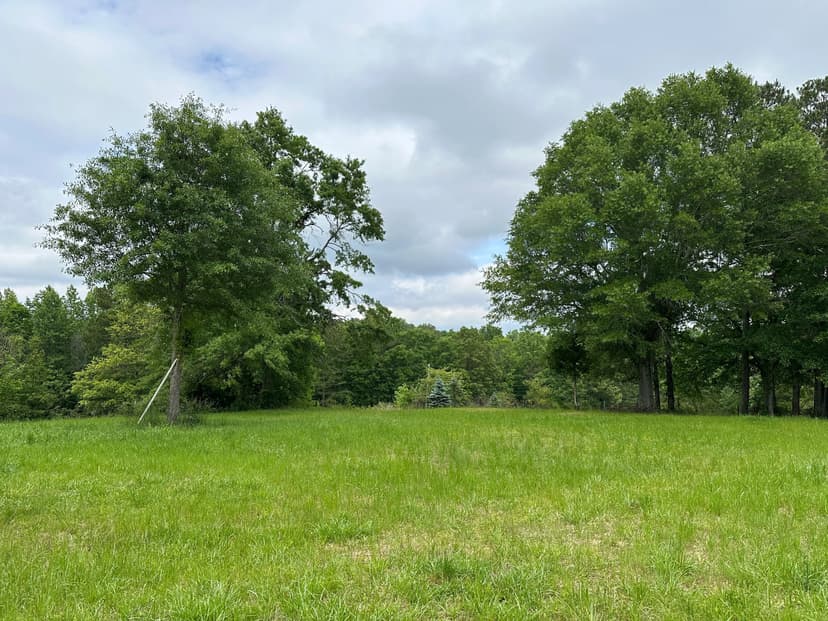 Discover Your Dreams on 15.32 Acres