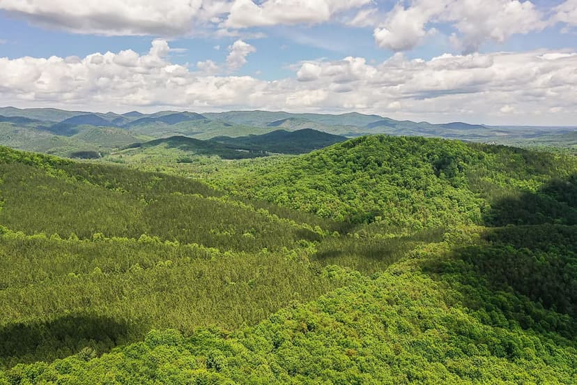 Golden Valley Estates