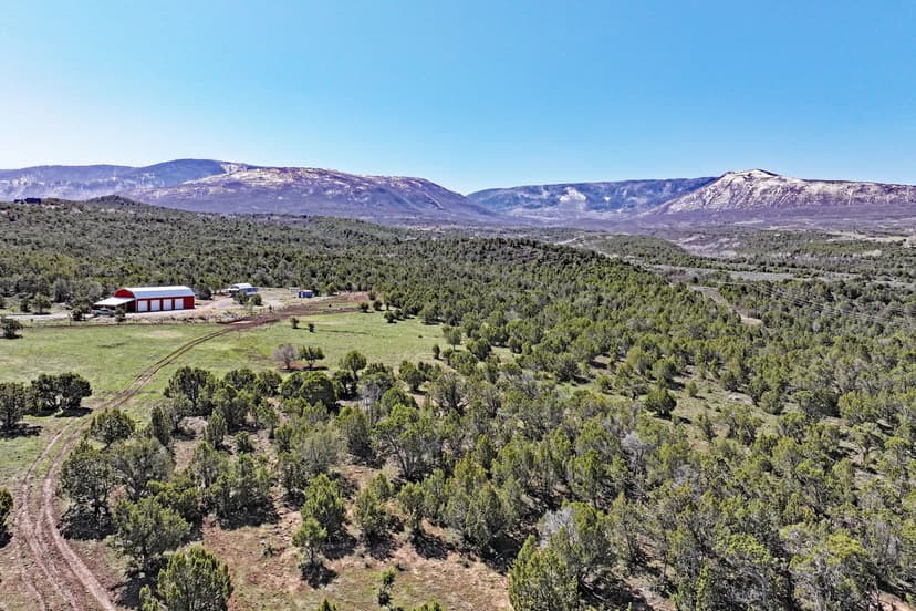 Home, Shop, Acreage with Ponds For Sale on Western Slope Colorado
