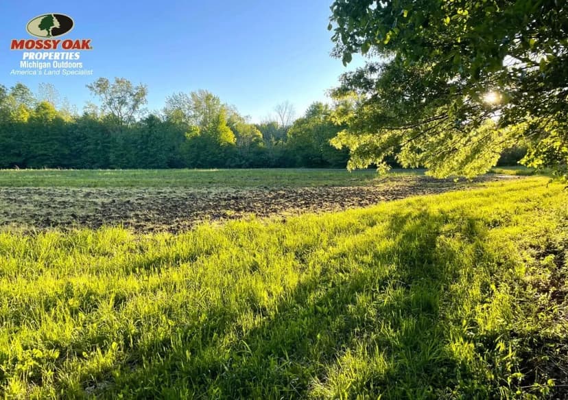 80 +/- Acres / Bucks & Ducks / Van Buren County, MI / Land For Sale