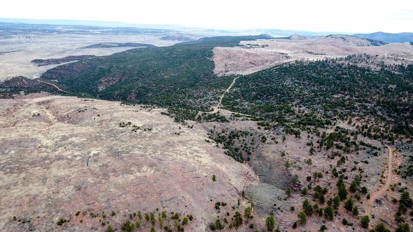 Snake River Land & Cattle Ranch