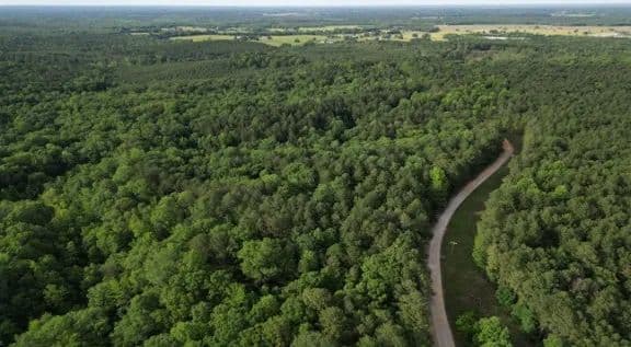 280 Acres in Clay County in West Point, MS