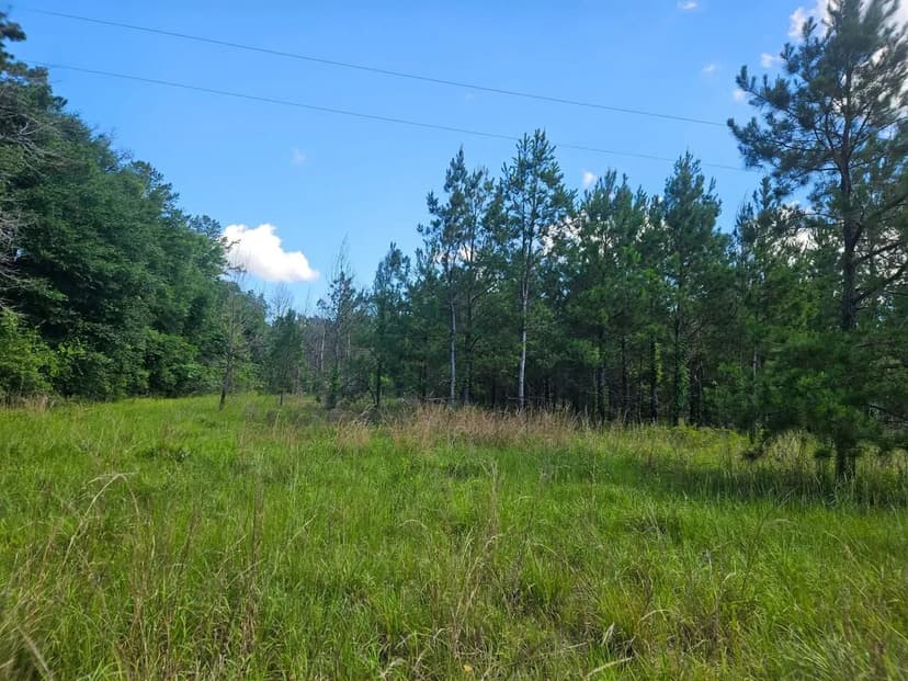 11 +/- Acres Great future home site and/or great pasture for farm life. The best of both worlds.