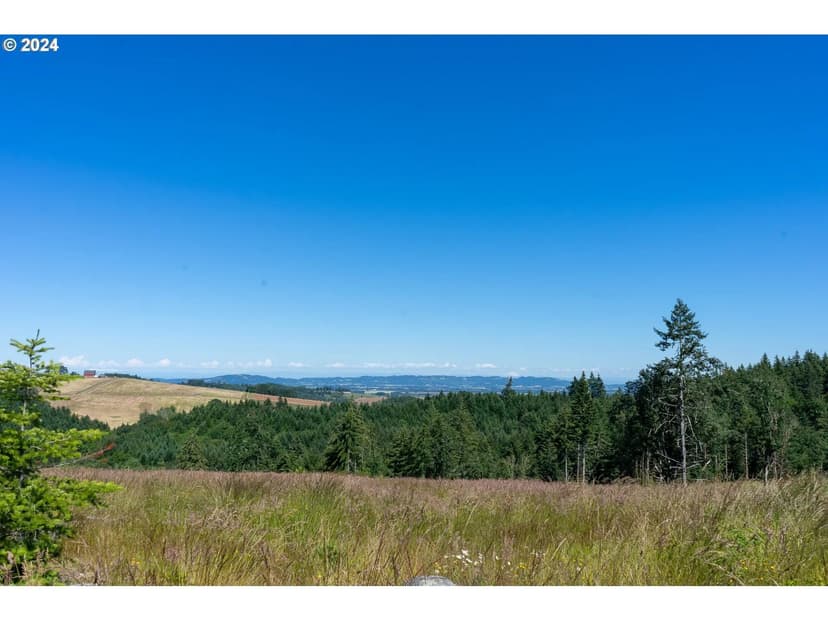 80 Acre Timber Property